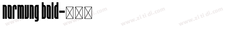 normung bold字体转换